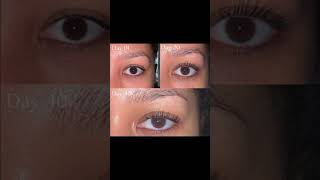 Best eyelash serum😍 subscribe youtubeshorts organicoillashgrowth [upl. by Preuss579]