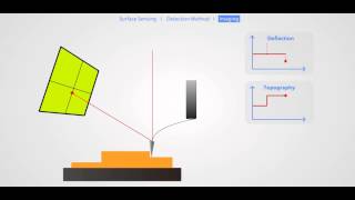 AFM Principle Basic Training [upl. by Ynetsed]