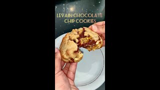 Levain Bakery Chocolate Chip Cookies [upl. by Ahsimin]