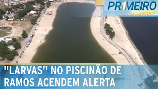 RJ Bichos parecidos com larvas são encontrados no Piscinão de Ramos  Primeiro Impacto 120124 [upl. by Verna]