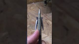 BEAST broadhead is epic broadhead short [upl. by Eillah]