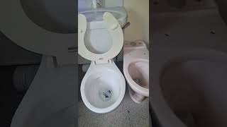 Qualitas Sandringham close coupled toilet Circa 2000 vs rags and plastic carrier bag [upl. by Simdars533]