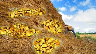 wow amazing finding a man found a lot of gold under stone at mountain man so excited [upl. by Saire]