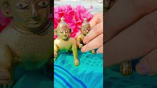 Radhe radhe radheradhe laddugopal bakebihariji youtubeshorts sabscribep [upl. by Amatruda]