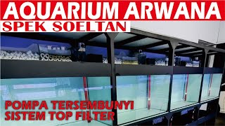 AQUARIUM ARWANA SPEK SOELTAN TERLENGKAP BERGARANSI [upl. by Gayel]