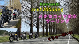 zrx1200ダエグ メタセコイヤ並木 [upl. by Nina]