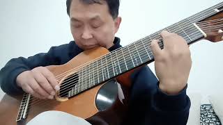 JSBach Sarabande BWV 995 Lute Suite No3 Abada Hongbing Zhang 11 String Alto Guitar [upl. by Hilleary]