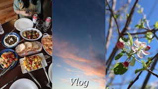 Vlog • Happy spring 💐🏌🏻‍♀️🍴☀️ Jenna’s birthday golf new bag Mother’s Day dinner [upl. by Lareneg]