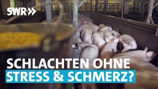 TierschutzZukunft Besser schlachten  SWR Wissen [upl. by Germaun631]