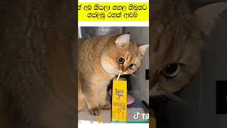 කාට හරි මෙක වෙලා තියෙනවාද [upl. by Anaitat]