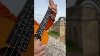 Bulería on microtonal ukulele [upl. by Townsend]