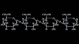 Formazione polisaccaridi [upl. by Wallache]