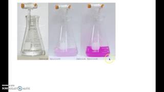 Antacid Titration Experimental Set Up [upl. by Darice]