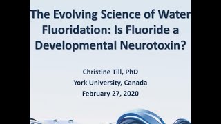 The Evolving Science of Fluoride Neurotoxicity [upl. by Nosilla]