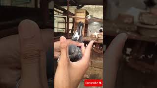 Pigeon Video  Ustad Shahid [upl. by Adolphus]