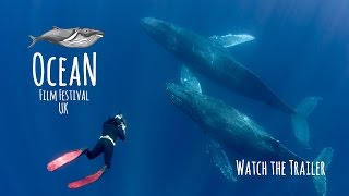 Ocean Film Festival  UK Tour Trailer  2016 [upl. by Pederson]