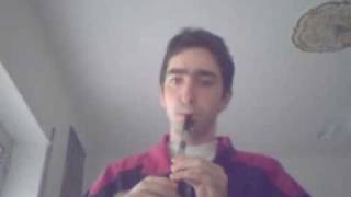 Pirates of the Caribbean  Tin Whistle first attempt [upl. by Latyrc]