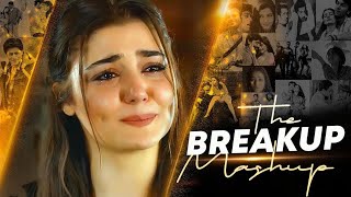 The Breakup Sad Song  sad songs mashup  sad song  new song  hindi song  lofi song [upl. by Akieluz]