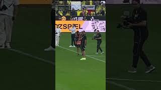 Jürgen Klopp First Punch Yellow Wall  Borussia Dortmund Signal Iduna Park [upl. by Dnarud]