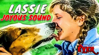 LASSIE  JOYOUS SOUND  Full FAMILY PUPPY Movie in ENGLISH [upl. by Luciano]