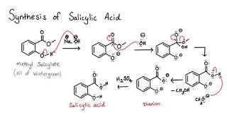 Mechanism  Converting Methyl Salicylate into Salicylic Acid [upl. by Yartnod]