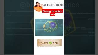 Plant ☘️ cell । Eukaryotic cell।। shorts youtubeshorts viralvideo ytshorts ncert biology [upl. by Bashuk]