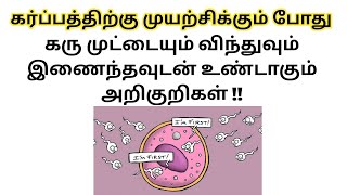 Egg and sperm meet symptoms in tamil  signs of conception in tamil  symptoms of egg fertilization [upl. by Dalli]