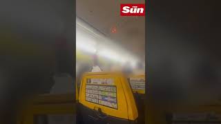 Mass brawl breaks out 30000 feet in the sky on Ryanair prompting emergency landing shorts [upl. by Oecam240]