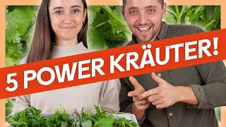 KRÄUTERKUNDE Die 5 beliebtesten KRÄUTER und ihre Verwendung 🌿 [upl. by Giana]