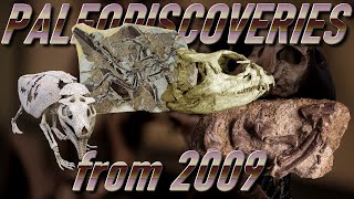 PALEODISCOVERIES from 2009 [upl. by Bloch960]