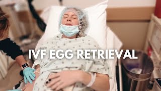 IVF Egg Retrieval  Egg Count Going Under Anesthesia and Final Embryo Results [upl. by Florina]