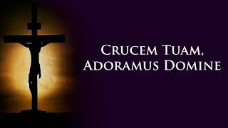 Crucem Tuam Bicol Liturgical Mass Songs Lent [upl. by Boorer]