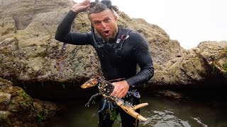 Coastal Lobster Foraging In Cornwall  Foraging Rock Pools For BIG lobsters and Fishing for Bass [upl. by Nathalie96]