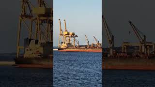 XIN HAITONG 36vessel youtubeshorts ship youtubevideos ytshorts viralvideo sailor shorts [upl. by Ruperta]