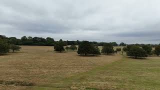 Oh Deer  Richmond Park [upl. by Eiramalegna]