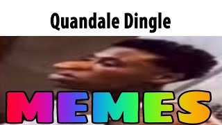 Quandale Dingle Memes [upl. by Eetse792]