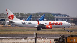 Lion air flight 610 infinite flight [upl. by Ahsad]