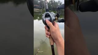 Baitcaster best setup fishing [upl. by Alinna]