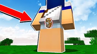 ESSE HAMSTER É INTOCAVEL FIND CHOMIKS MINECRAFT [upl. by Rabiah]