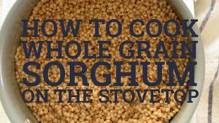 How to Cook Sorghum on the Stovetop [upl. by Shadow106]