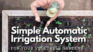 Setting up a Drip Irrigation System Start to Finish [upl. by Deuno334]