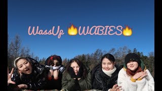 THE WASABIES нэрийн бялуу 🍰🤭 WassUp WABIES  1 [upl. by Haneehs]