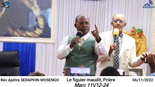 Le Figuier Maudit Bénédictions et Prière Par le révérend Apotre SERAPHIN MOSENGO [upl. by Ahswat]