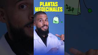 Plantas medicinales ¿Para qué sirven plantas medicinales shortsviral [upl. by Aradnahc]