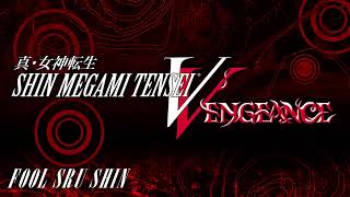 fool sru shin  SMT V Vengeance [upl. by Seravart]