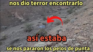 mis aventuras del oeste 381 encontramos esto en el desierto se nos pararon los pelos de punta [upl. by Kraul]