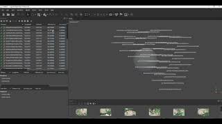 Drone data image processing in AgiSoft Metashape [upl. by Adnawad]