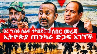 ፀረ ግብፅ ሰልፍ ተካሄደ ኢትዮጵያ ጠንካራ ድጋፍ አገኘች [upl. by Dyer]