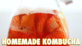 How To Make Kombucha At Home [upl. by Milurd]