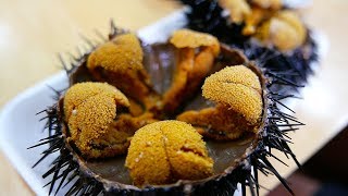 Japanese Street Food  GIANT SEA URCHIN Uni Sashimi Japan Seafood [upl. by Jeane]